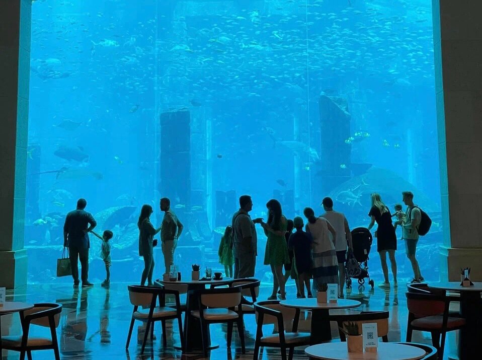 Возле одного из аквариумов находится кафе, где можно перекусить с видом на плавающих скатов, акул и разноцветных рыб.