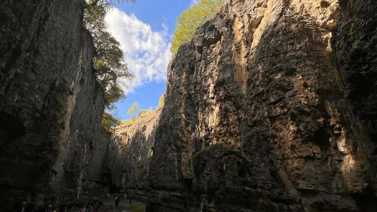 В ущелье Каменная Чаша вы невольно ощутите себя букашкой среди этих величественных скал.Фото: Annet Boss / Яндекс Карты
