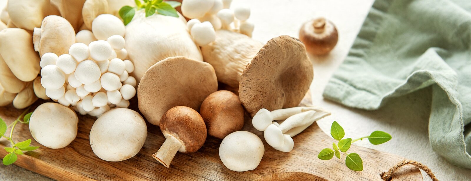 Порнографиялық ресейлік арулар ақша үшін анальный секс жасайды