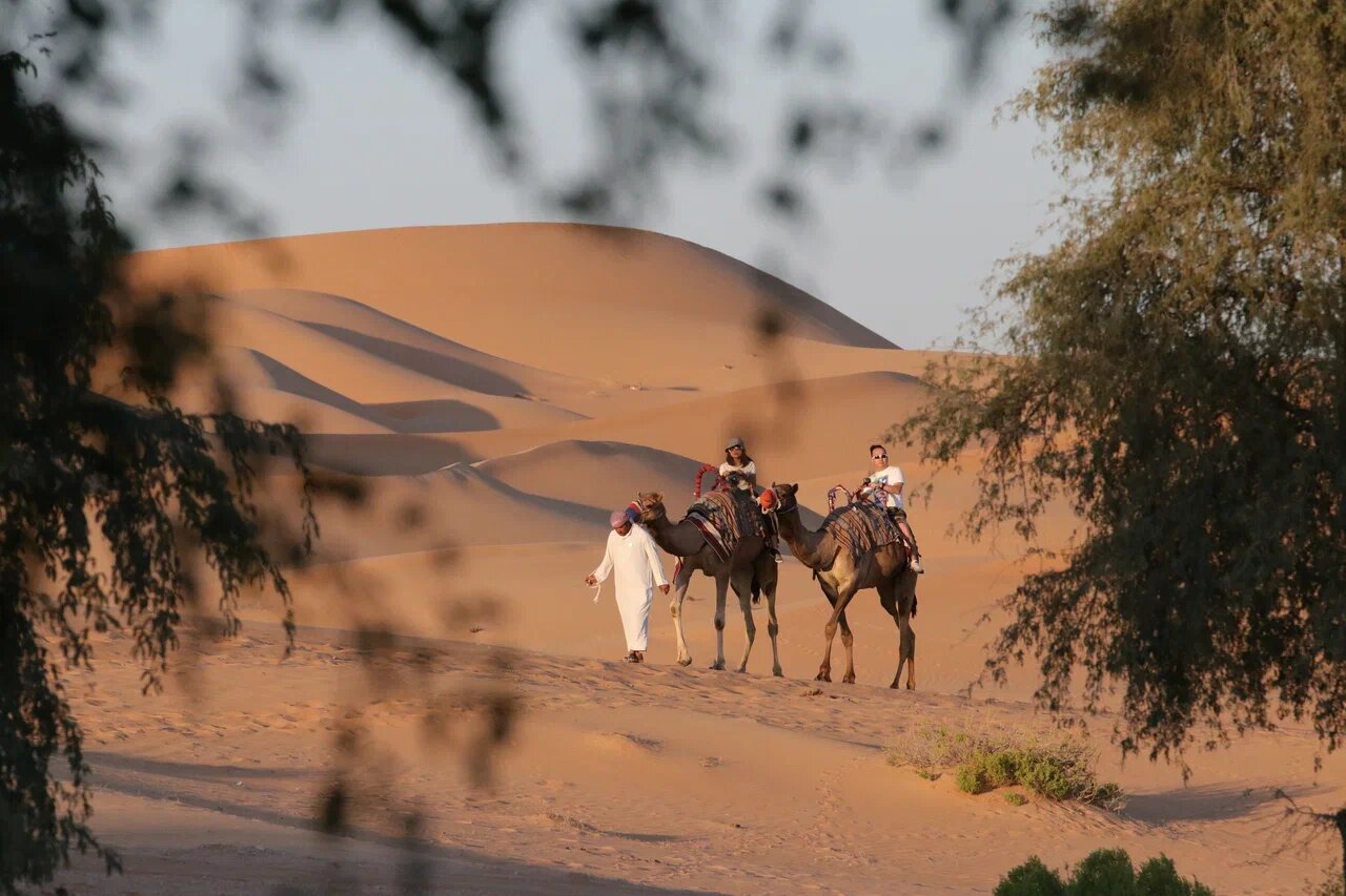 Культурная столица ОАЭ радует не только
креативными выставками, но и волшебными закатами в пустыне.