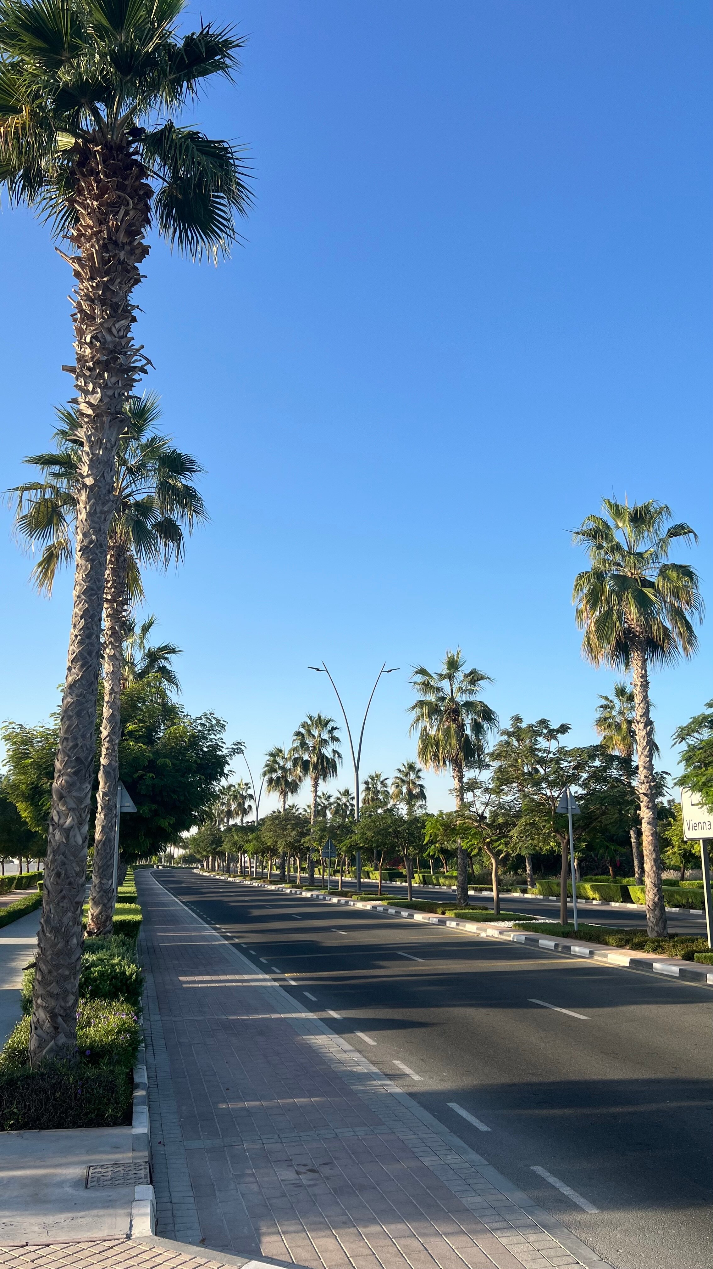 Бюджетные Эмираты: правда или вымысел?