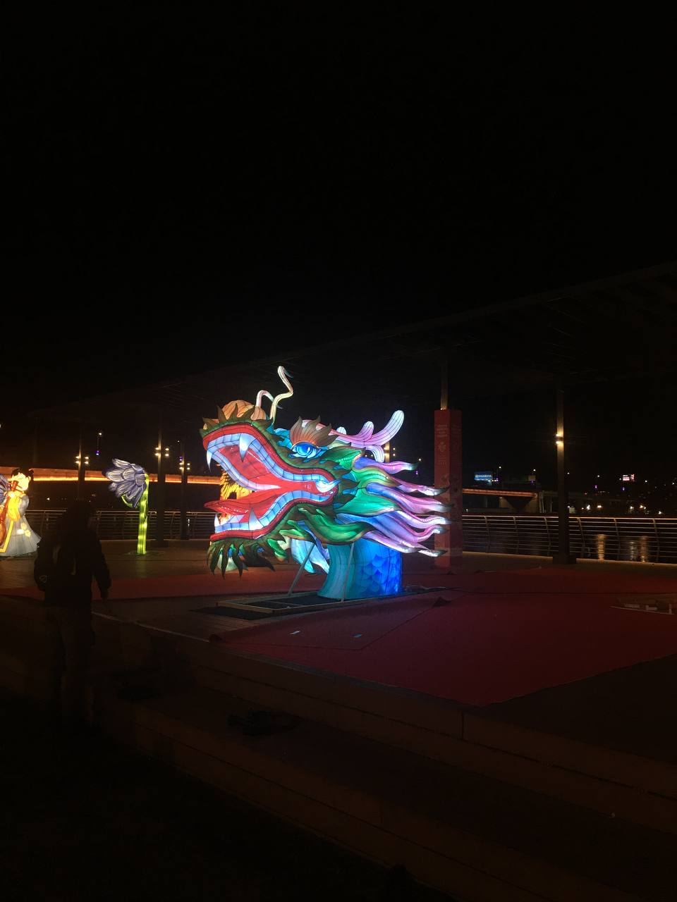 Китайская культура в Сербии: как в Белграде встречали лунный Новый год