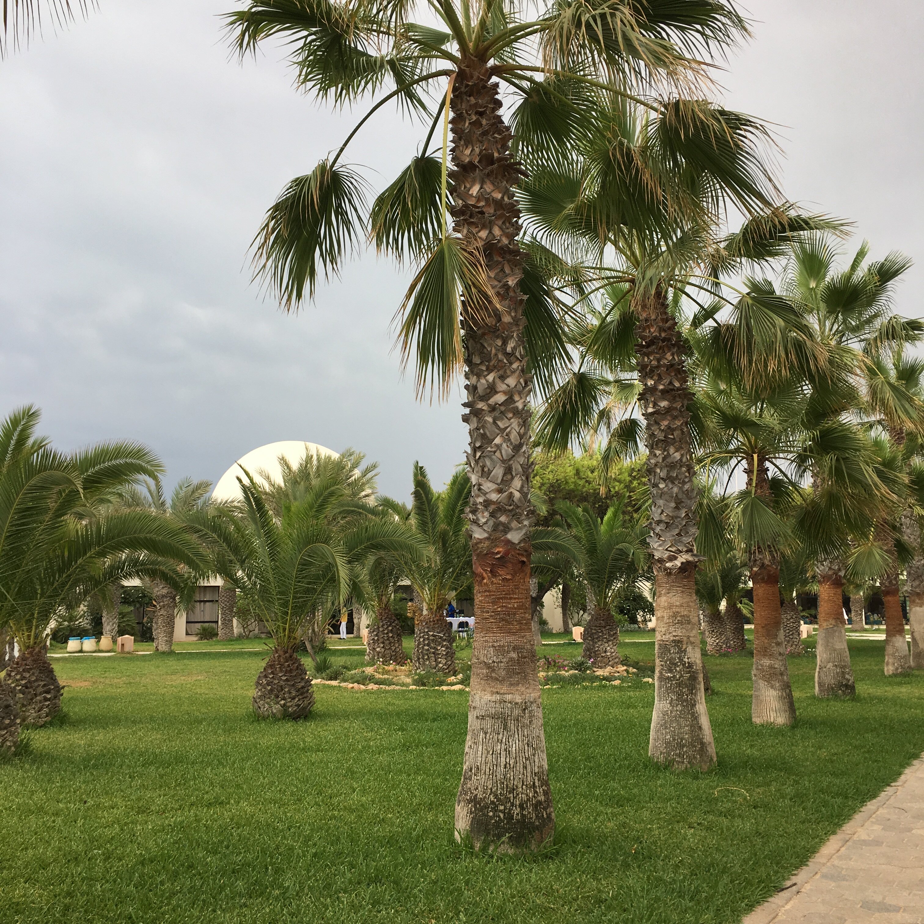 Как мы потерялись в пустыне Туниса и обрадовались крокодилам