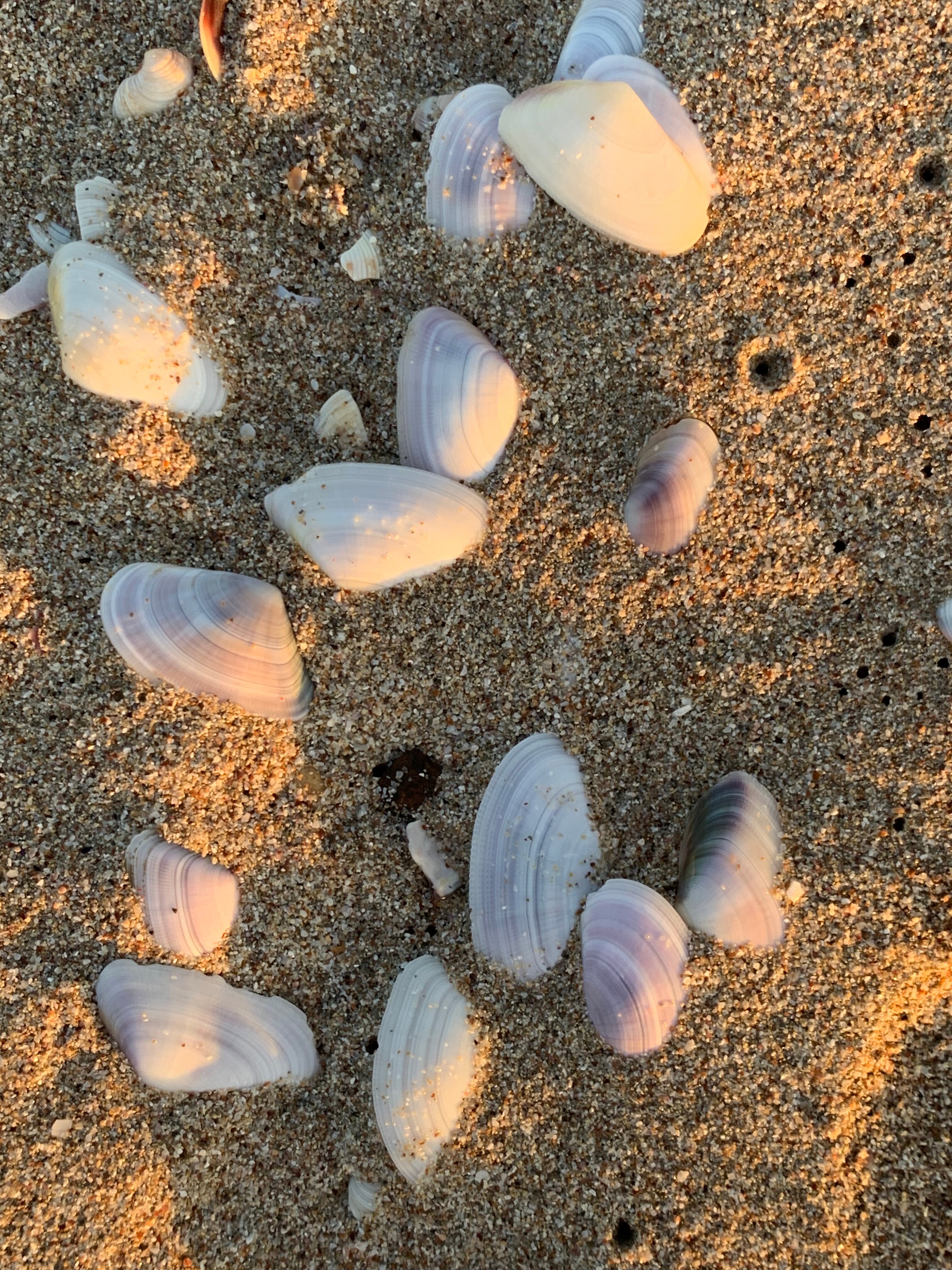 Оленевка, Крым: неспешный отдых большой семьёй