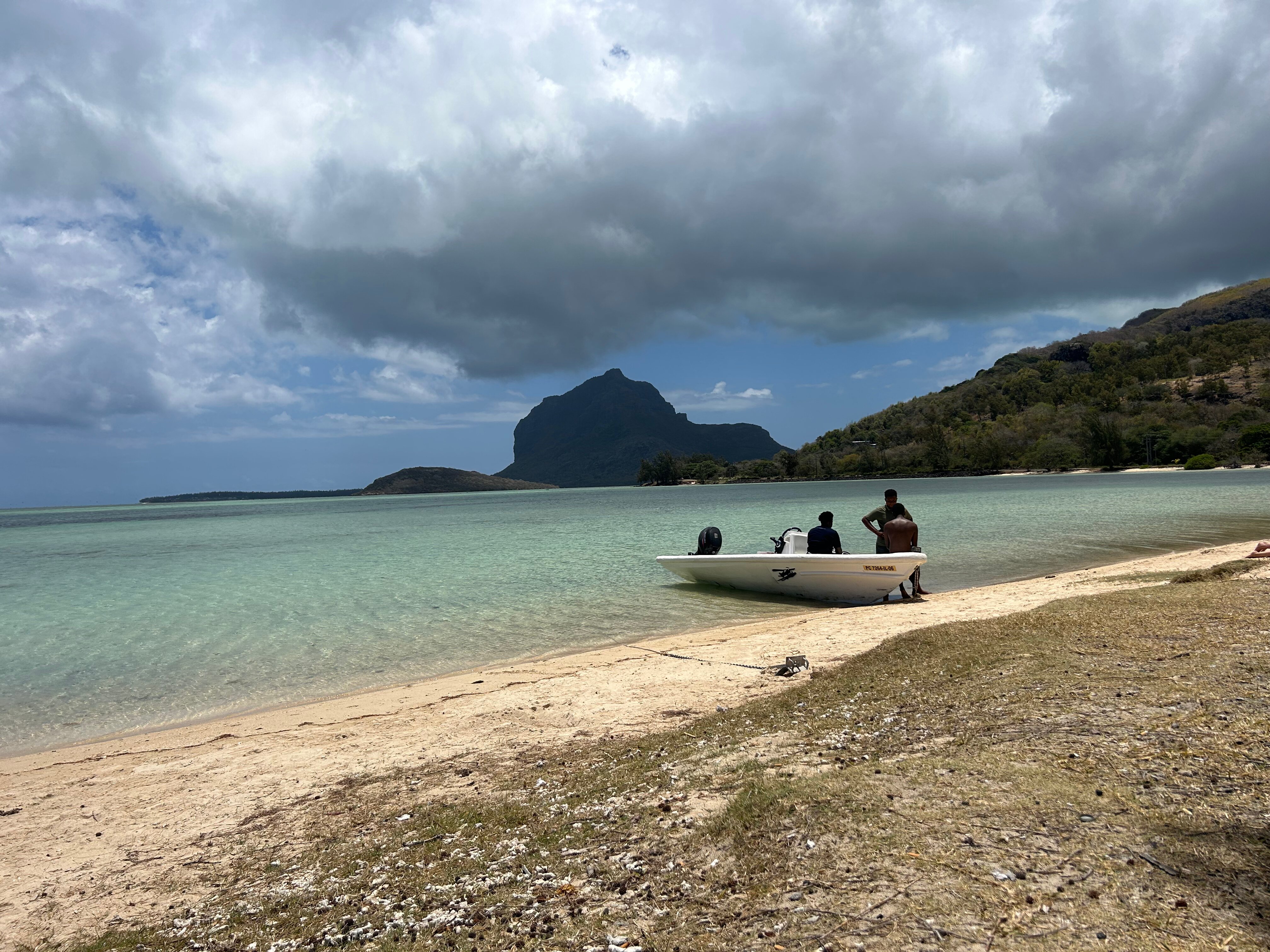 Маврикий: как искупаться в водопадах, поплавать с китами и не наступить на португальский кораблик 