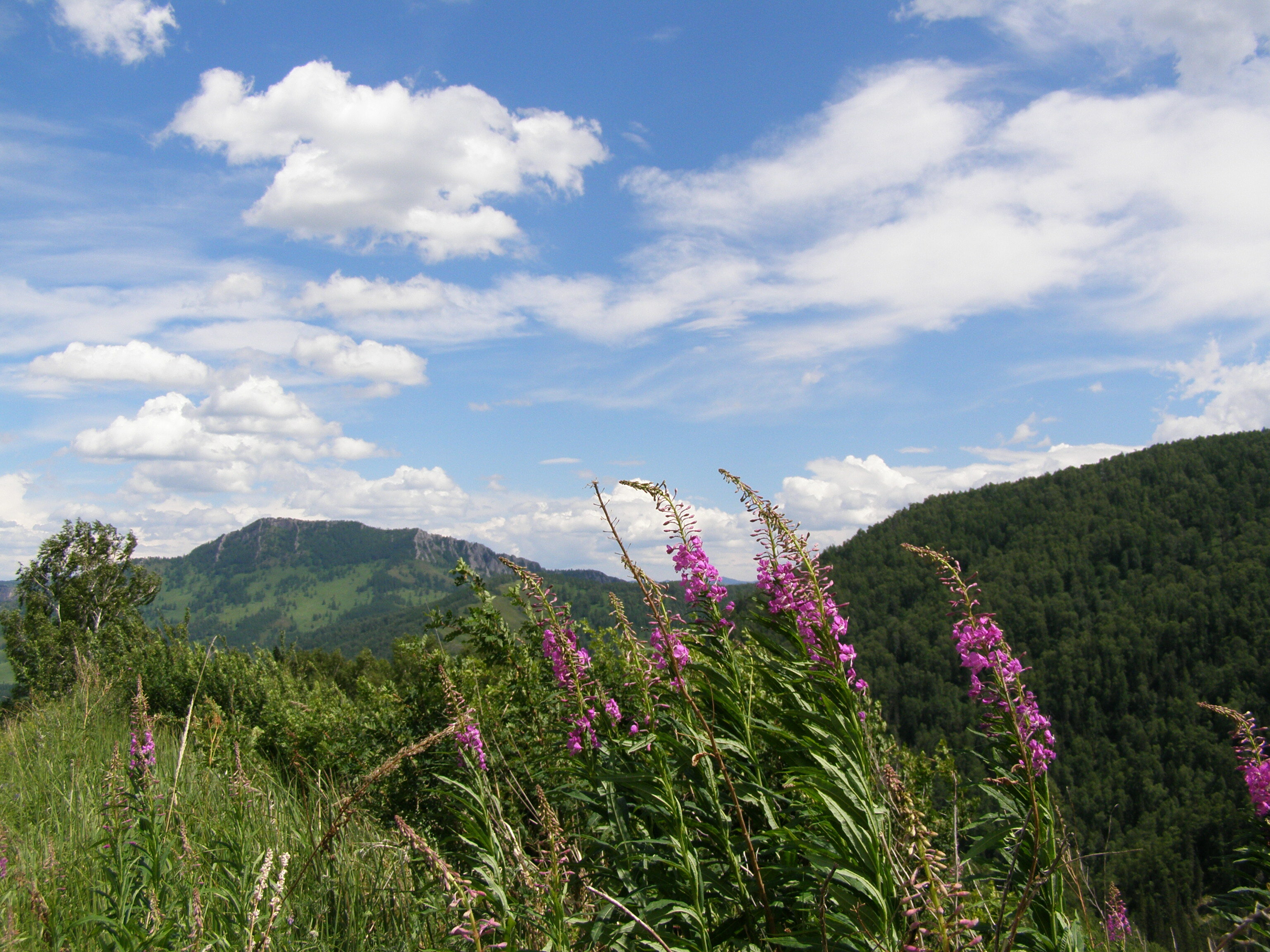 Путешествовать по Горному Алтаю теперь можно с аудиогидом