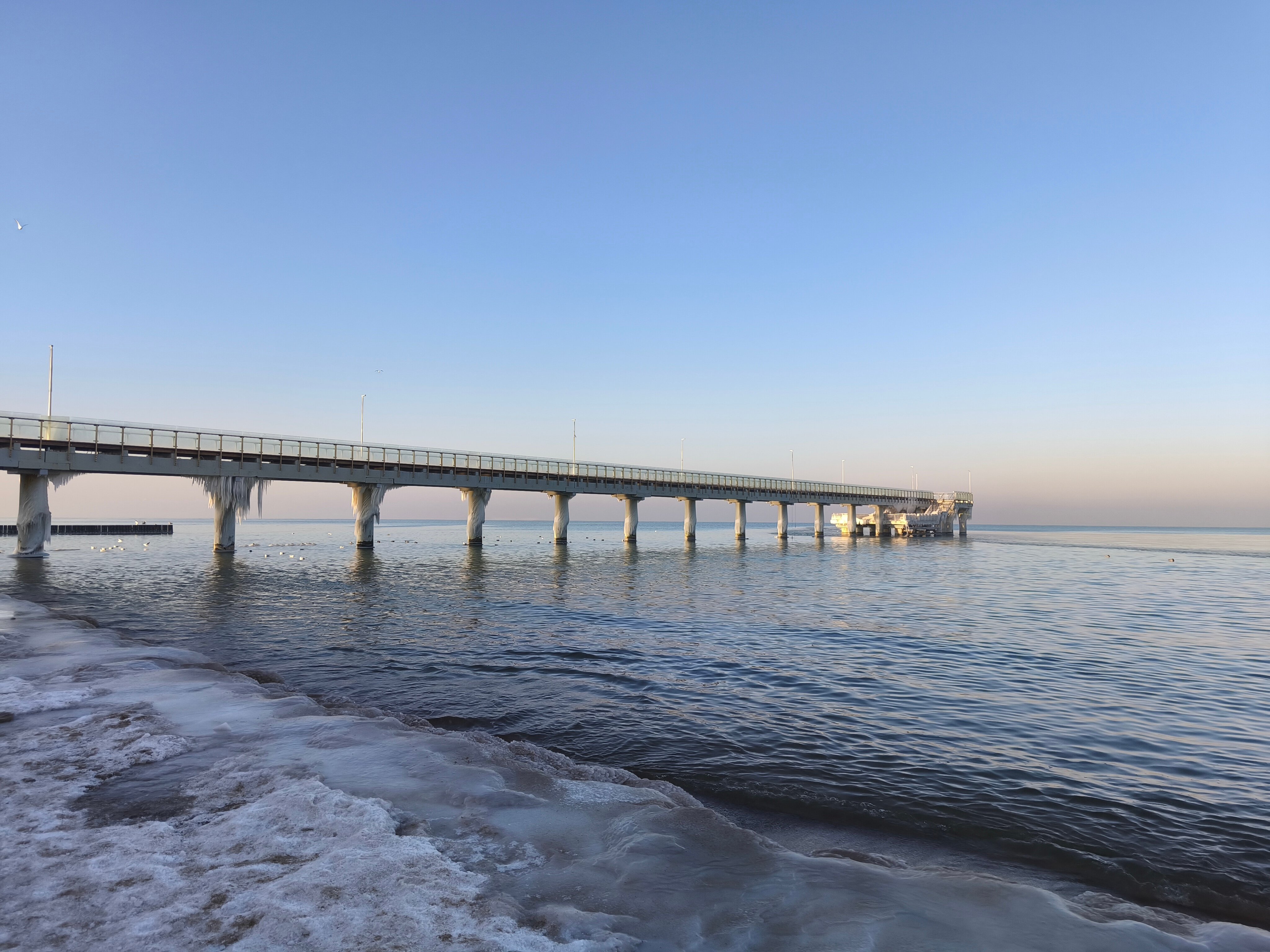 Калининград и Зеленоградск зимой: прогулки у моря, органный зал и коты