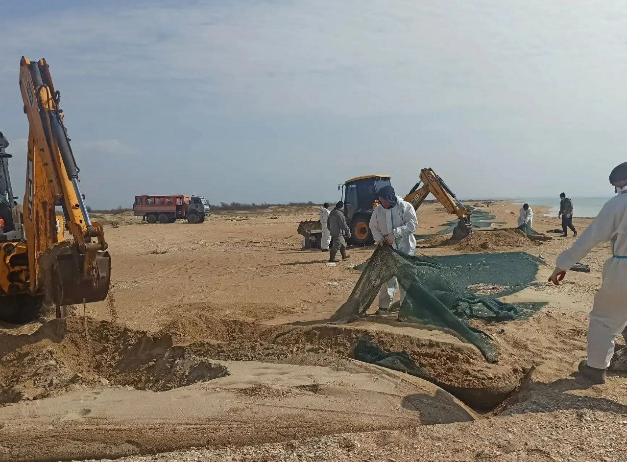 В Анапе пожаловались на качество песка, завезённого на пляж в Витязево