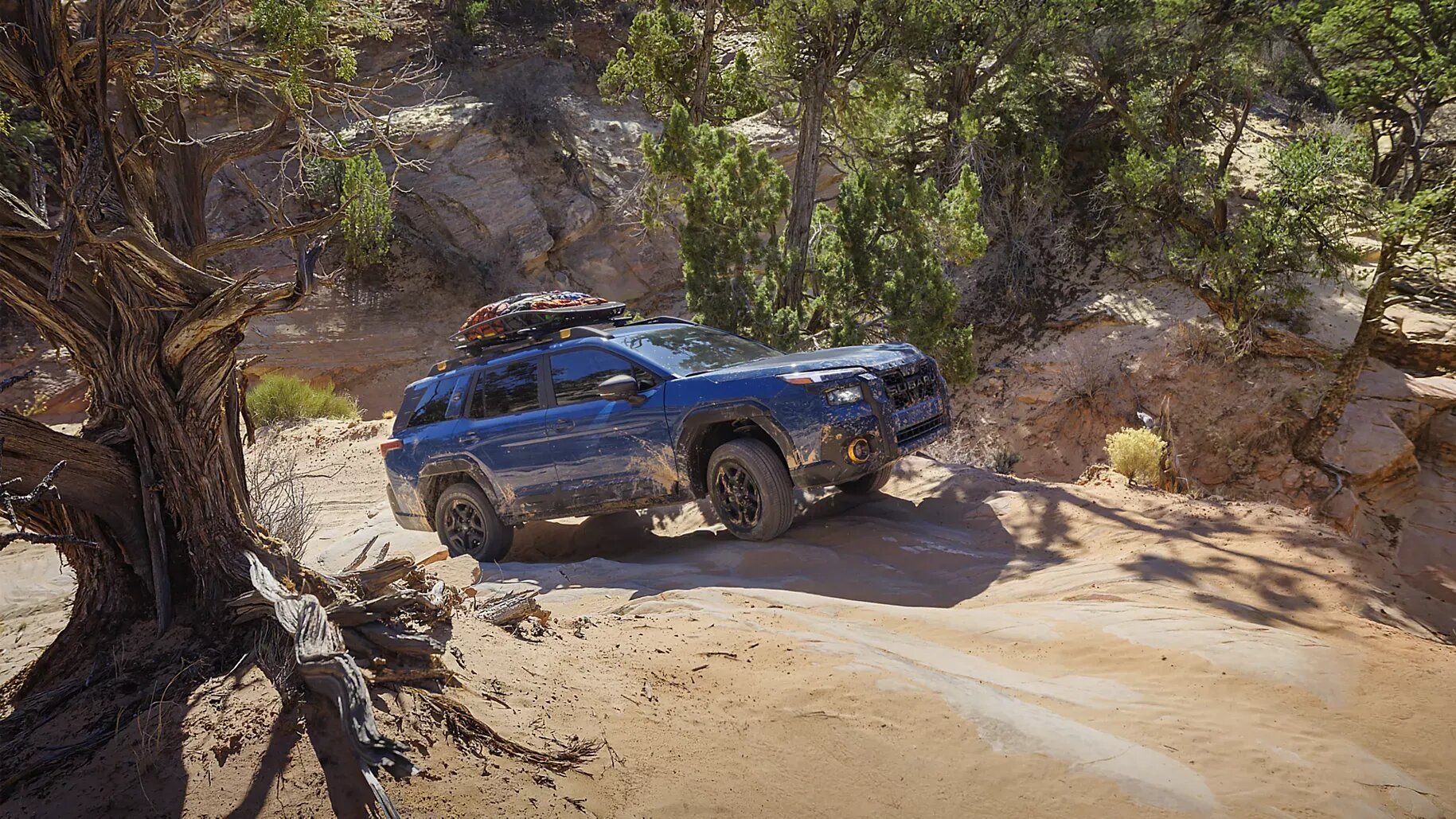 Фирма Subaru объяснила, почему новый Outback перестал быть универсалом