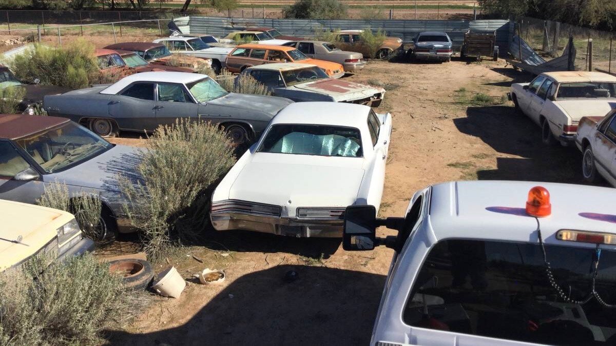 На продажу выставили 29 автомобилей, забытых в пустыне
