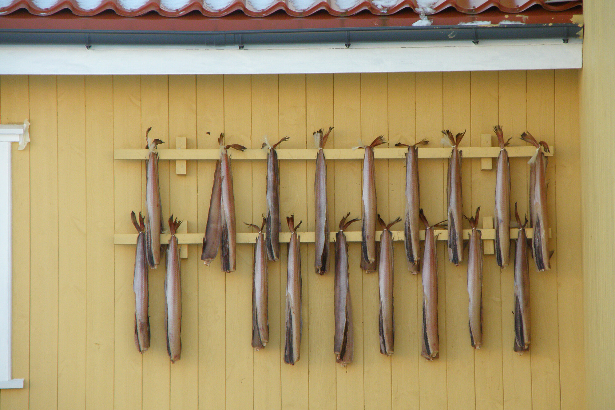 Ræstur fiskur — одно из самых аутентичных блюд фарерской кухни.