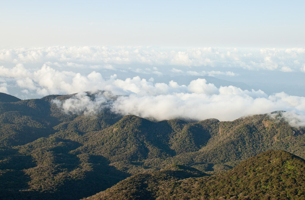 Подниматься
сюда придётся по оборудованной лестнице.
