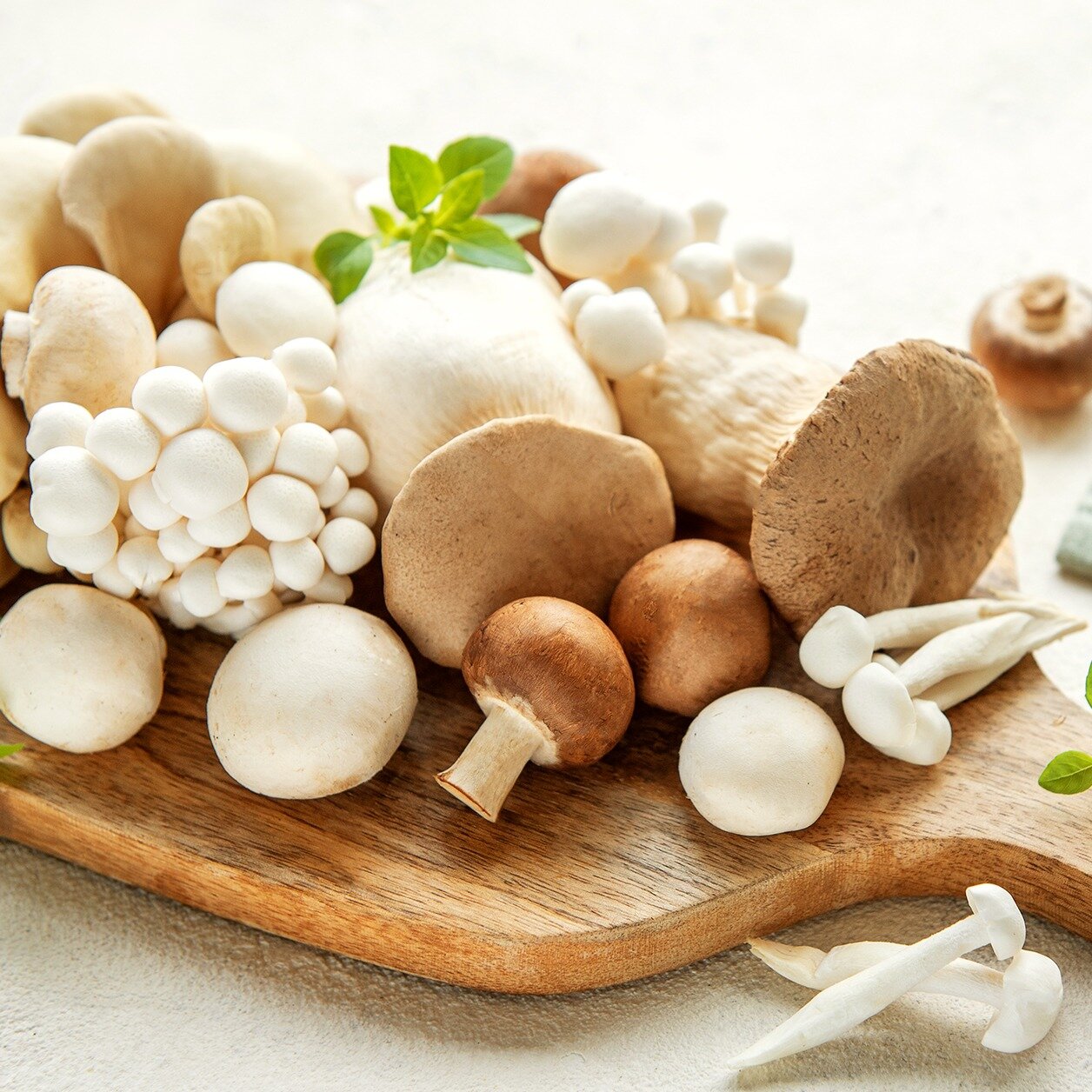 Нигер және сұлулық