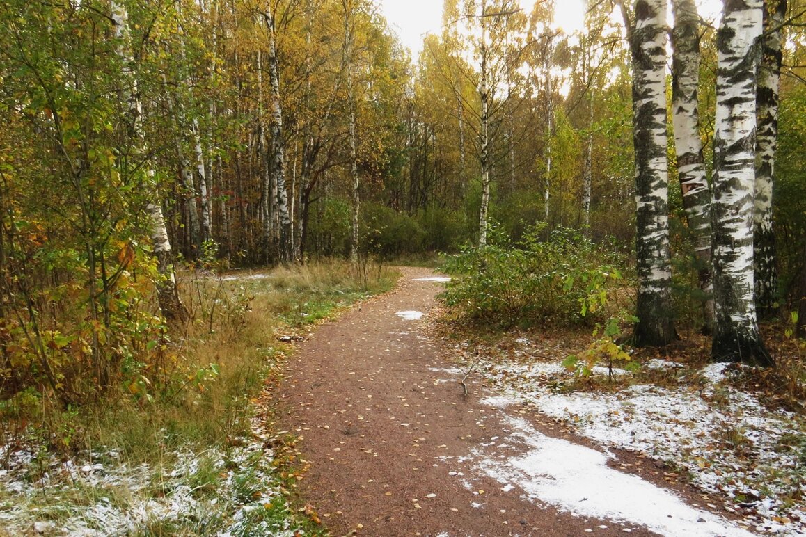 Подробный обзор ЖК «Прайм Приморский» в Санкт-Петербурге со всеми плюсами и минусами