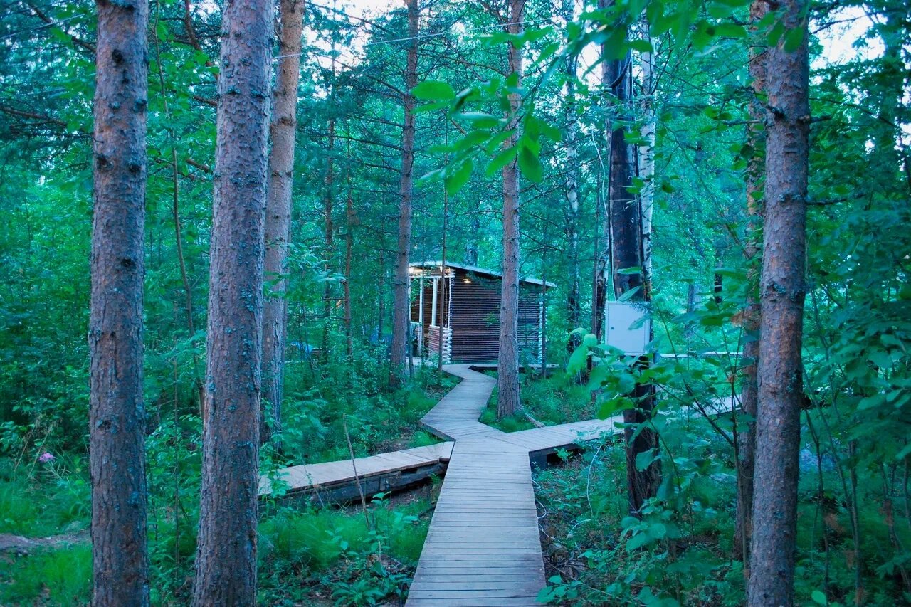 Для пеших прогулок везде настелены деревянные дорожки.