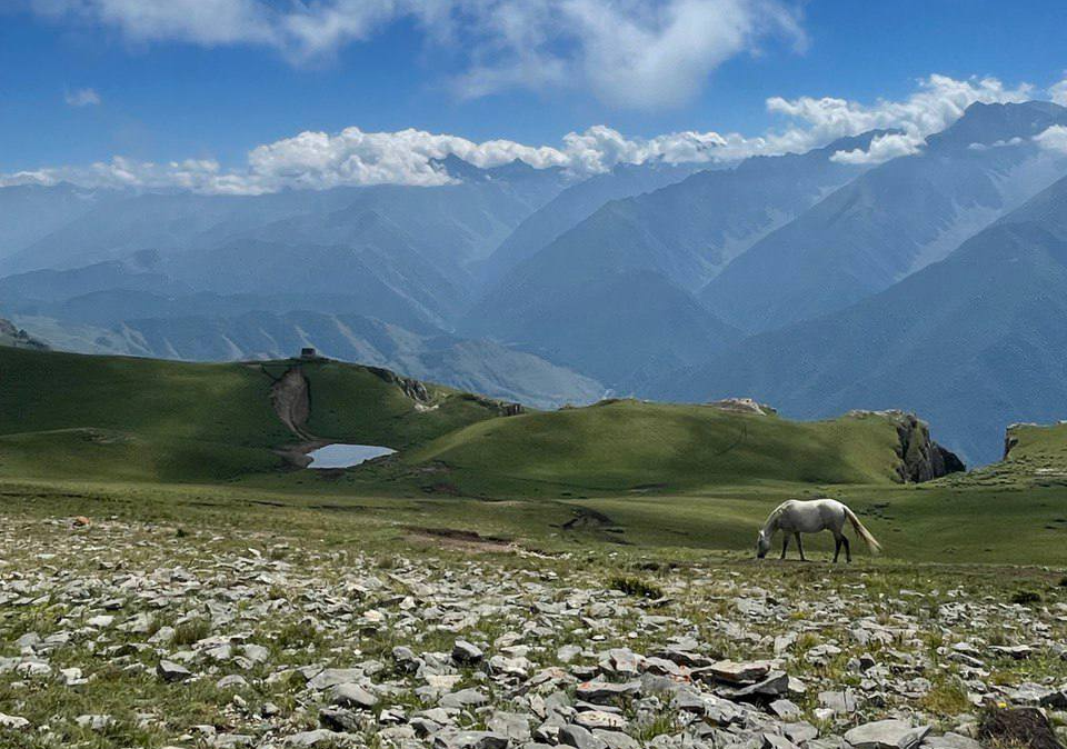Ингушетия: орлы, горы с альпийским газоном и патриархальные традиции