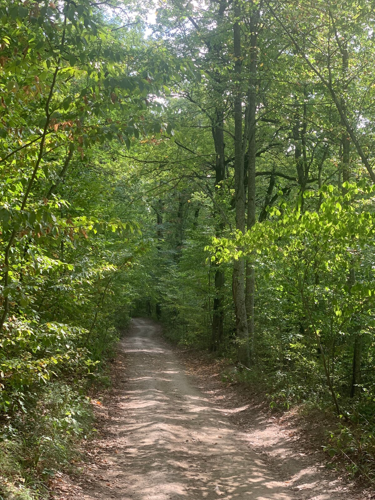 Дреней ойынымен жыныстық қатынас