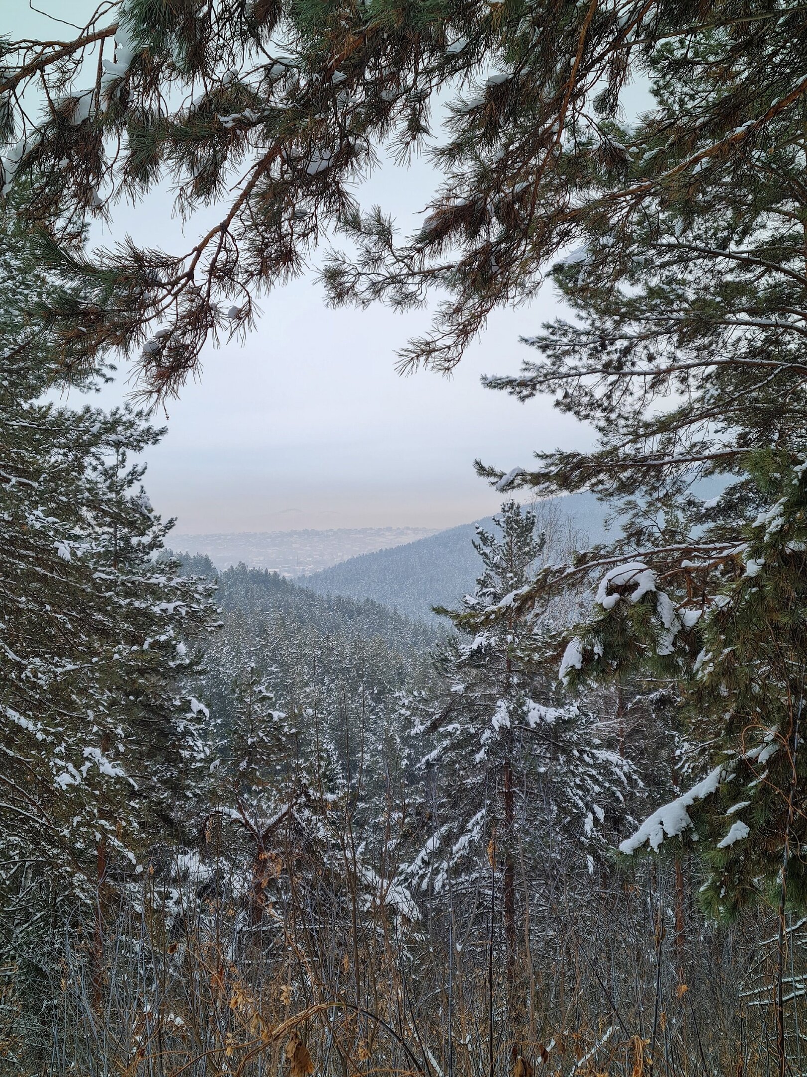 Магический зимний Алтай — от шамана до пантовых ванн