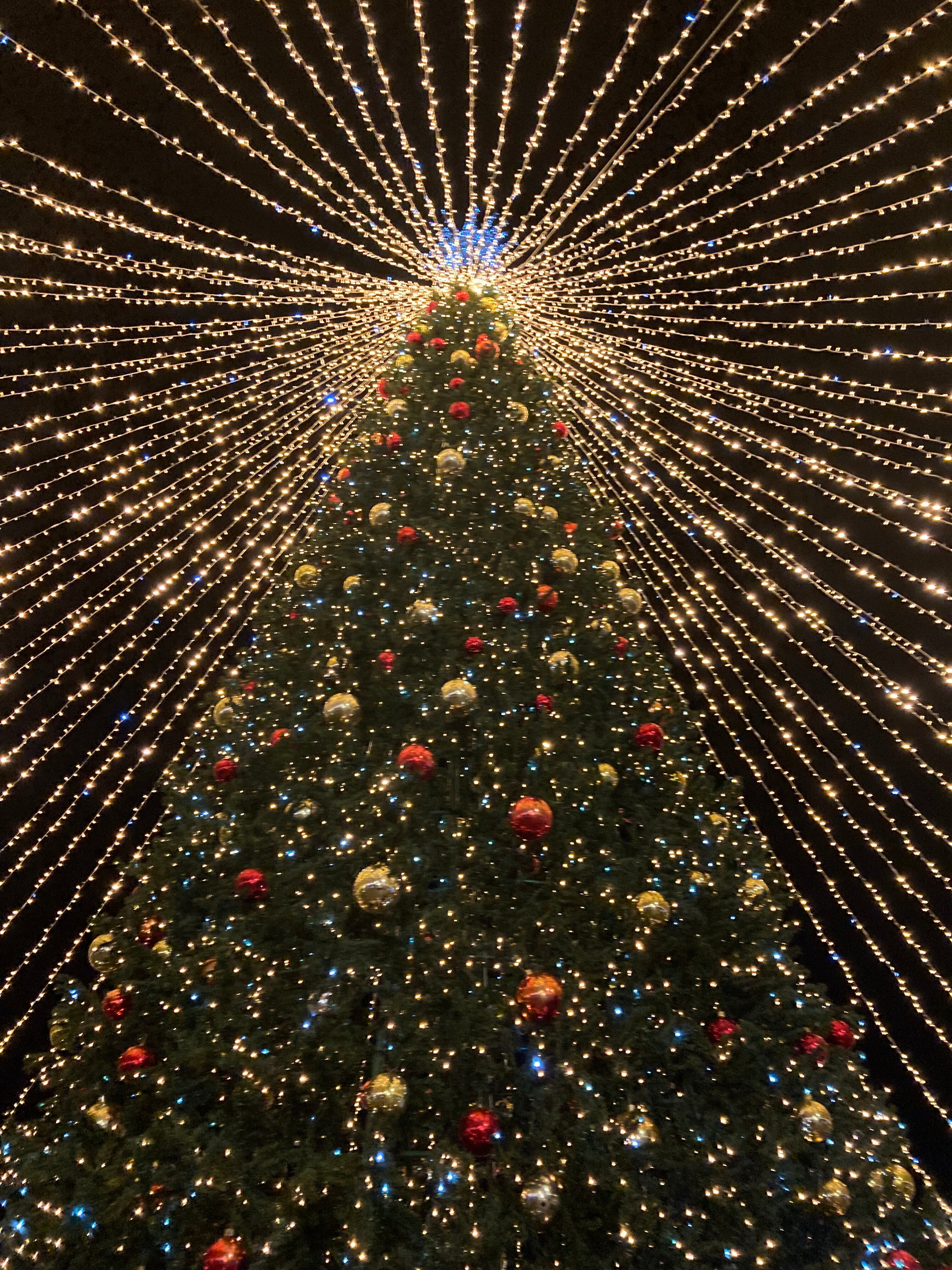 Новый год — солнце, море, Крым