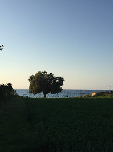 Критские каникулы, или Как я стал почти греком