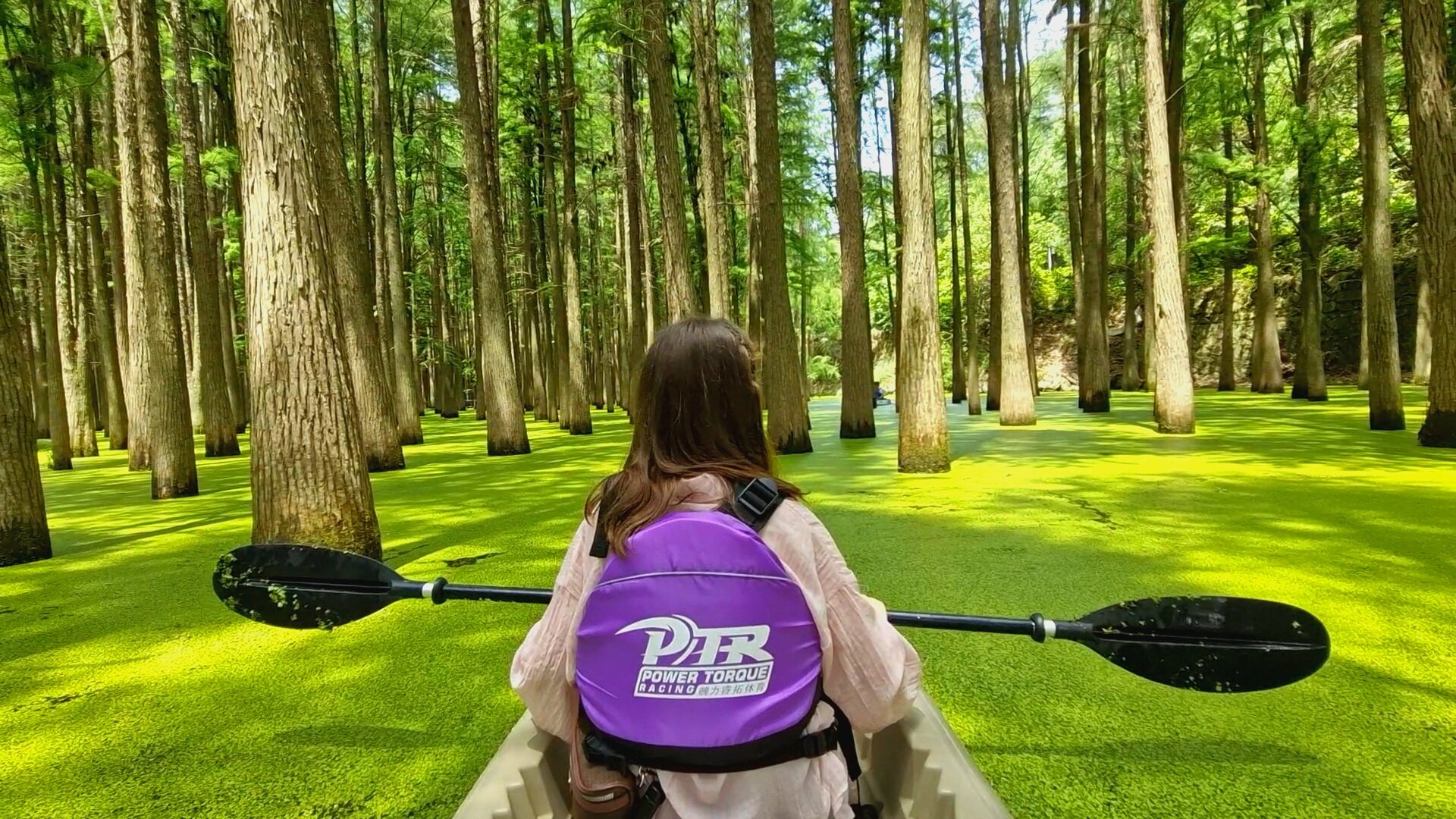 Сказочный Водный лес на озере Циншань: все хотят увидеть эти пейзажи в Китае