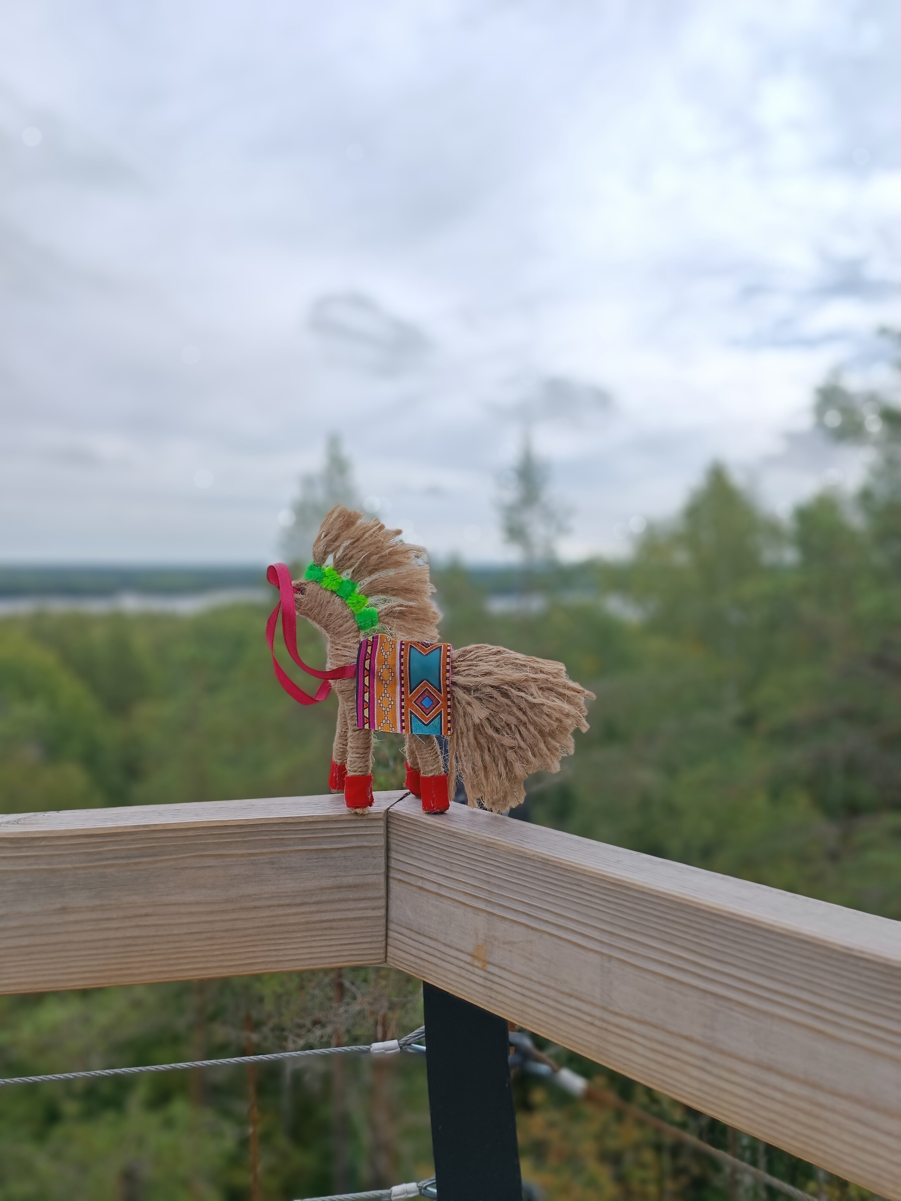 Петрозаводск — суровое очарование Карелии, или что можно успеть за 2 дня