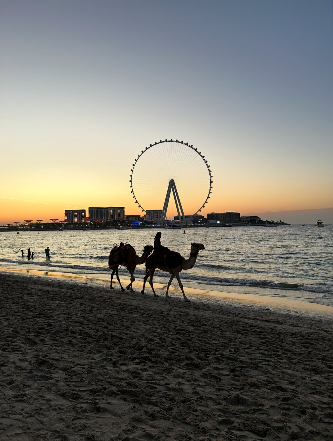 Как мы нашли отель на месте в Дубае и отдохнули на 40 тысяч рублей