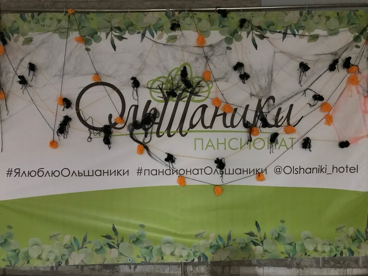 Пансионат под Выборгом: природа, бассейн и полный пансион