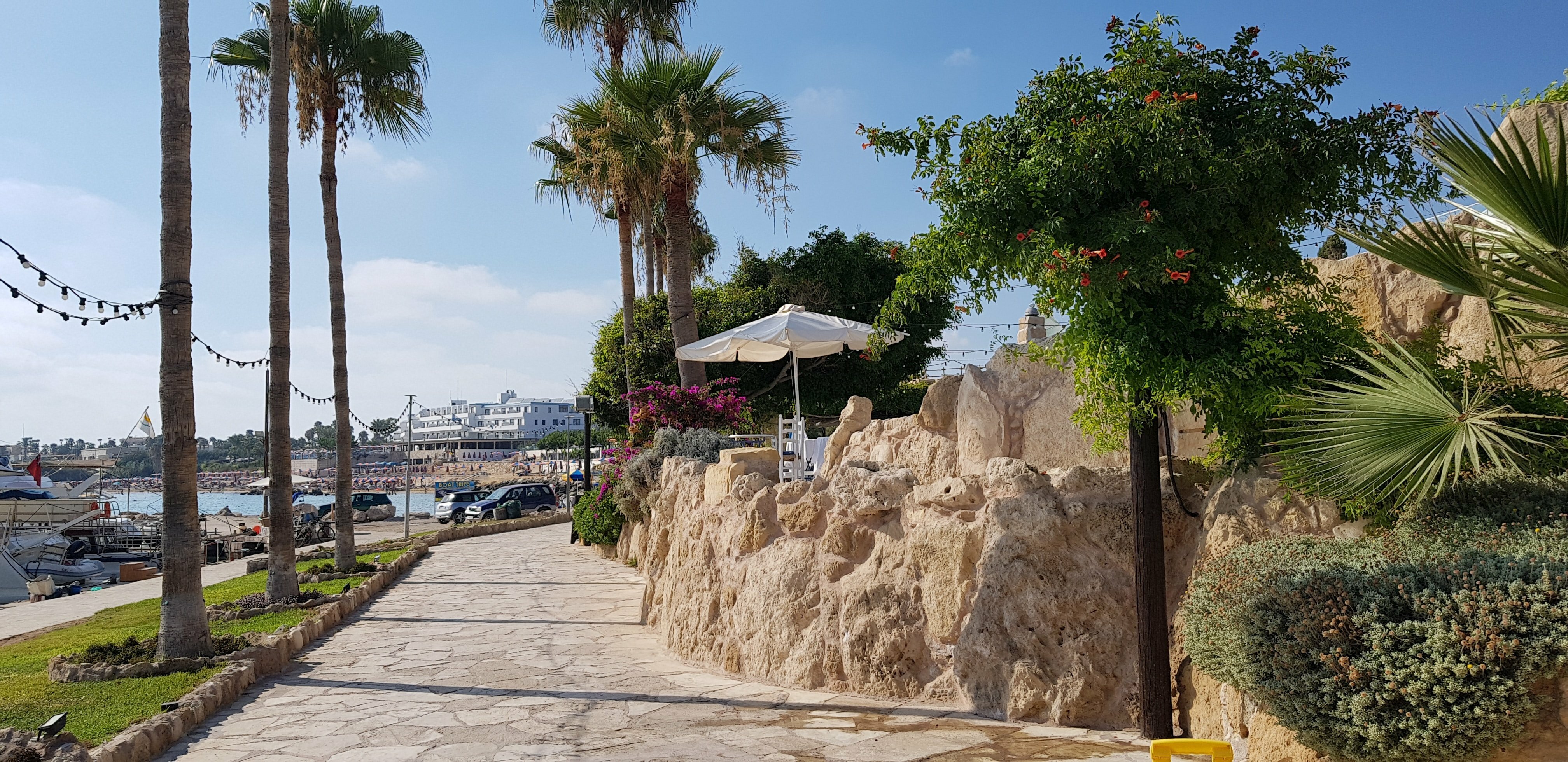 Пафос на Кипре: пляжи, камень Афродиты и свежевыжатое оливковое масло