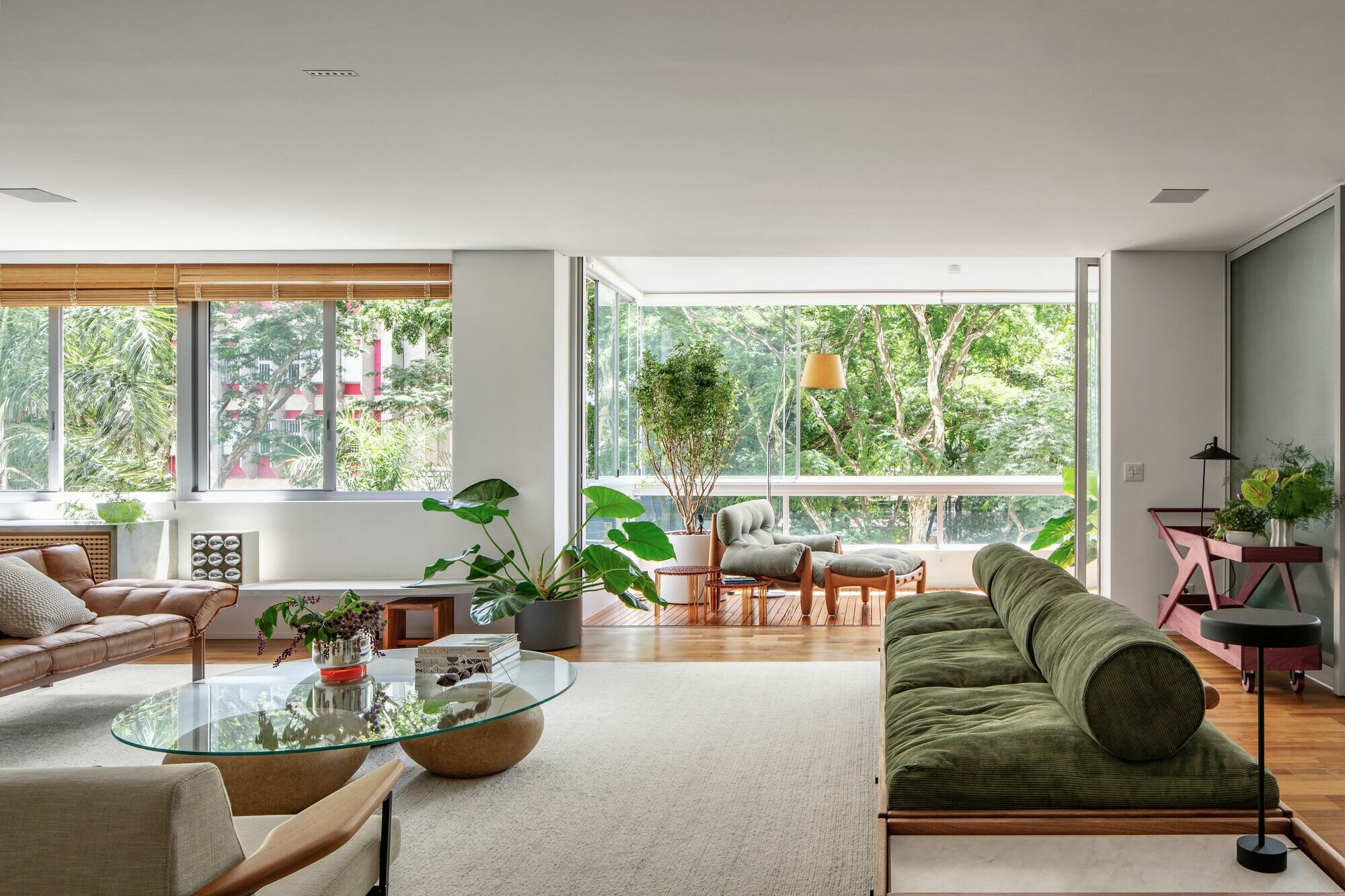 Бразильский простор и домашняя зелень: фотопост