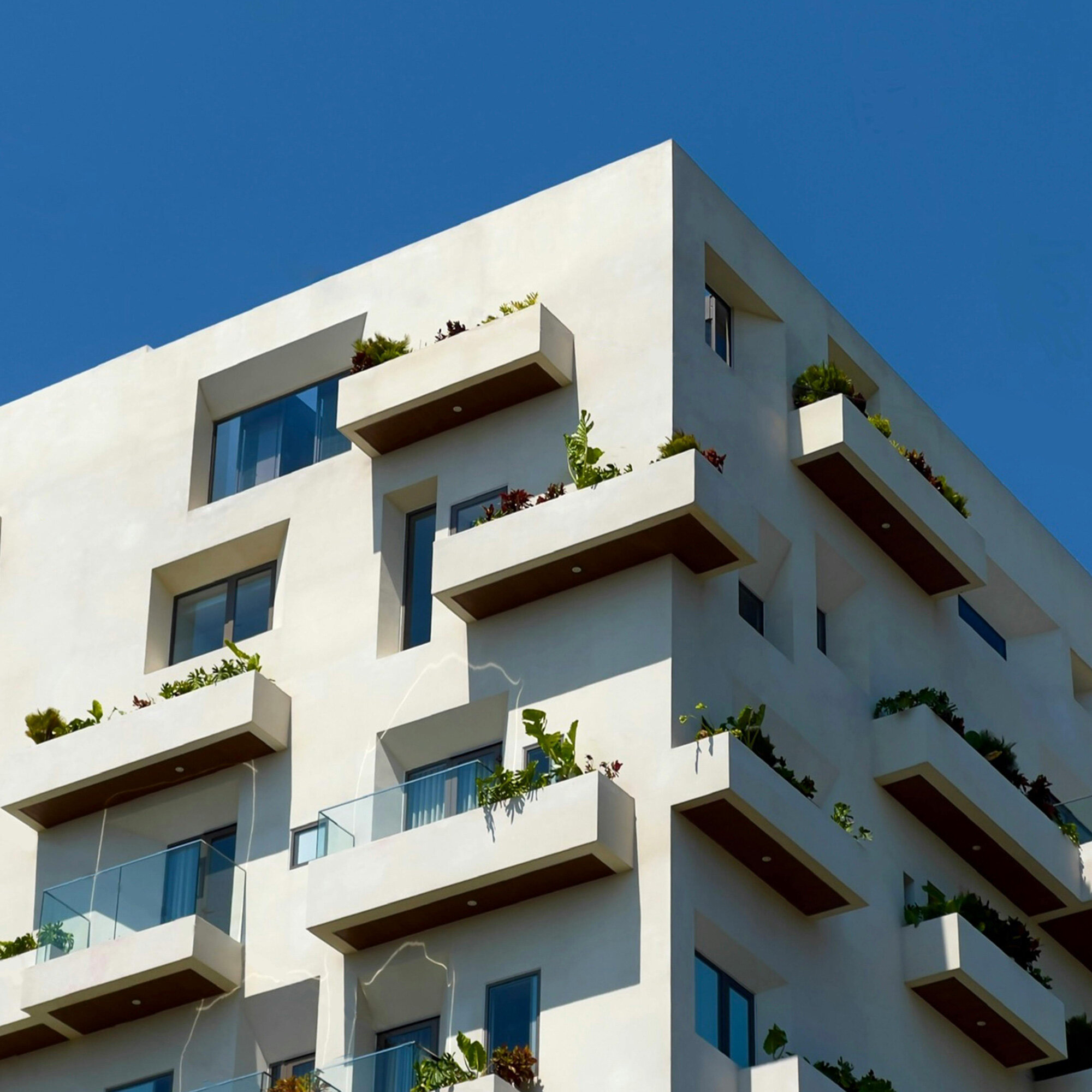 ТСЖ (товарищество собственников жилья)