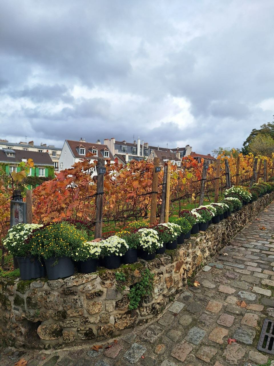 Пять дней в Париже: как мы получили визы, но не попали в Лувр