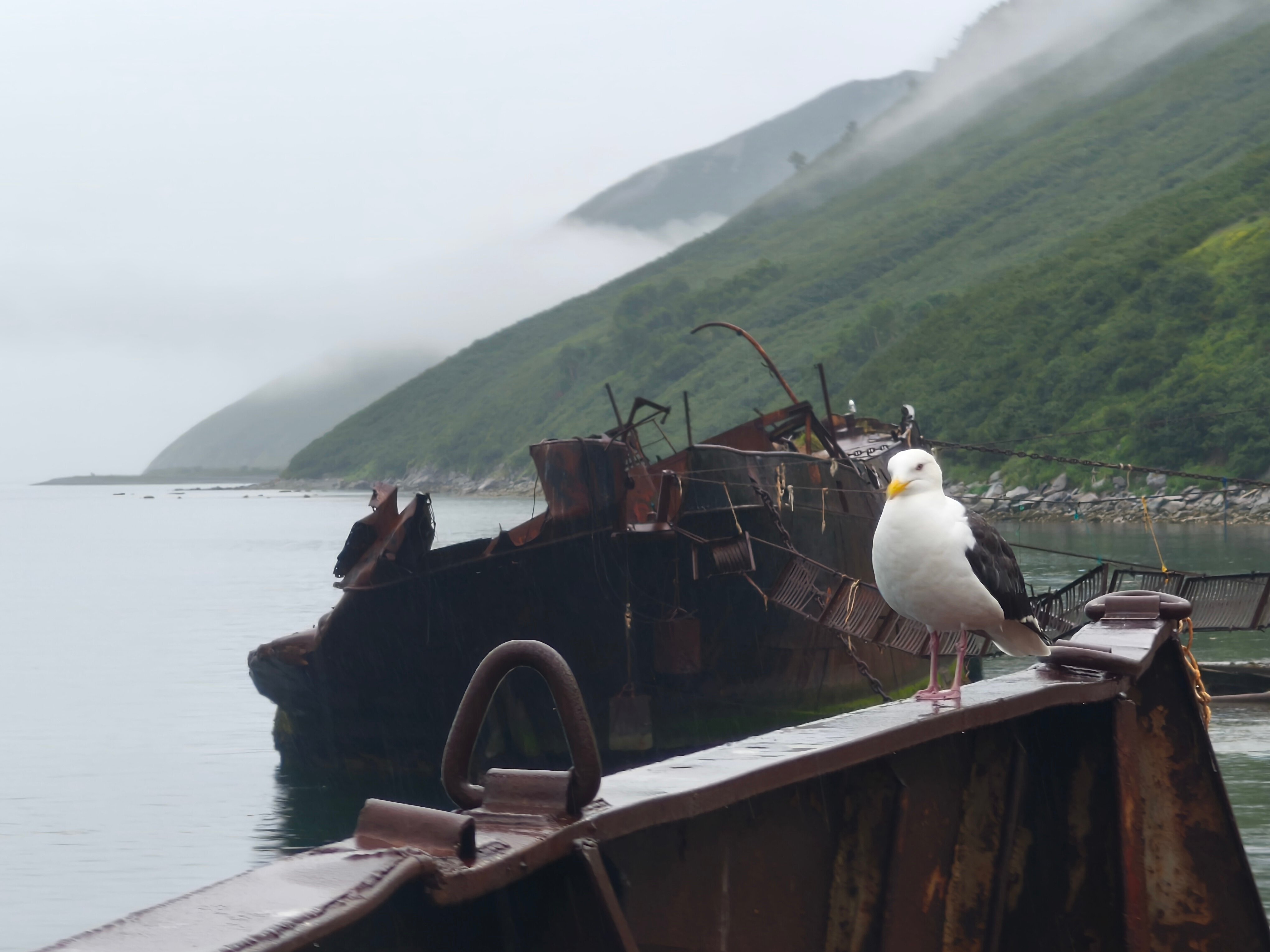Удивительная Камчатка: бюджет не должен стать причиной отказа от поездки в край вулканов