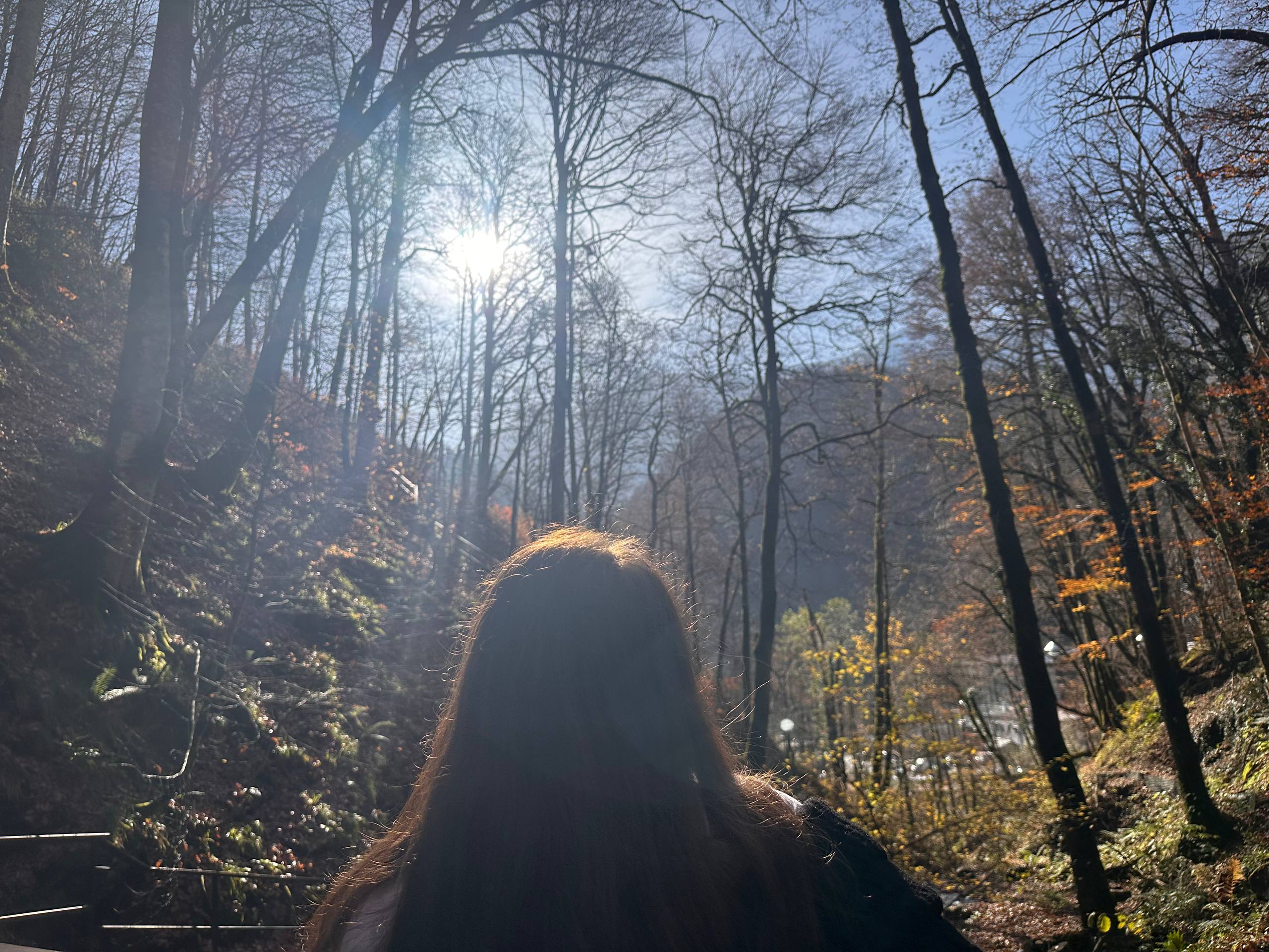 Из серого Петербурга в солнечный Сириус: как я сбежала в Сочи в середине ноября