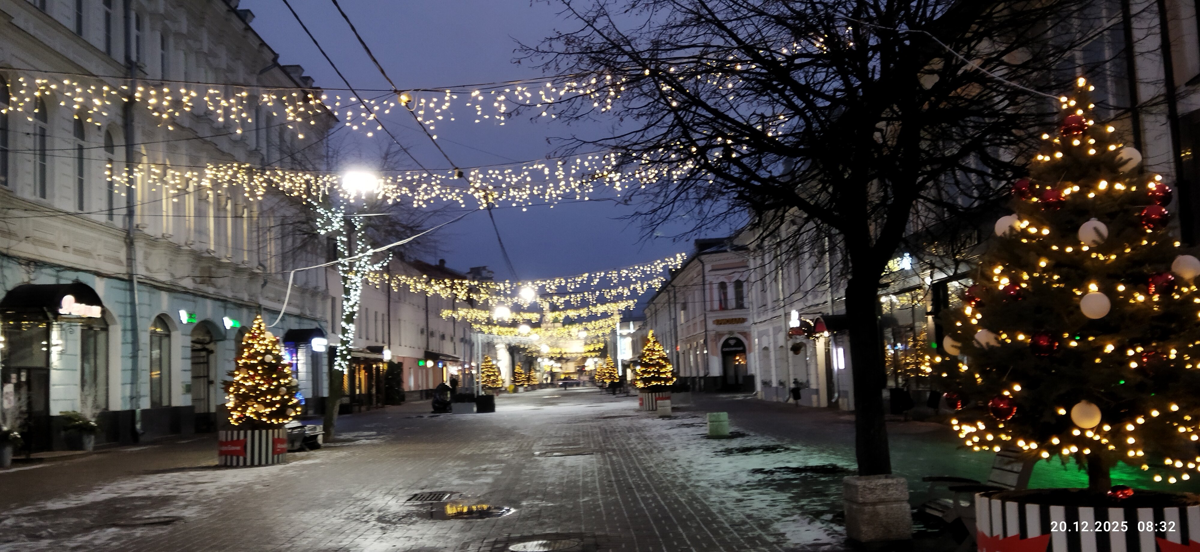 Пешеходная улица Кирова: живые ёлочки в огнях 




