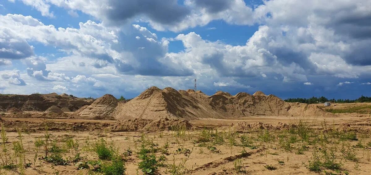 Песчаные дюны в Сычёво: настоящая пустыня в Подмосковье