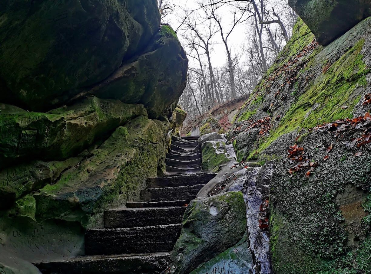 На мягкой горной породе Дантового ущелья
можно увидеть надписи и рисунки, которые в течение многих лет оставляли
туристы.