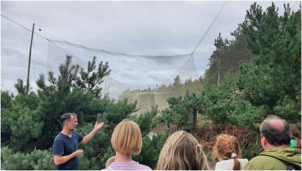 Высота ловушки для птиц — около 20 метров.