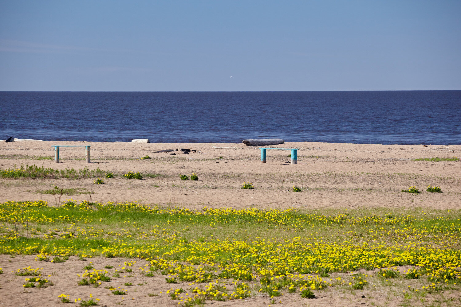 Из-за сильных ветров вода в Белом озере часто мутная
