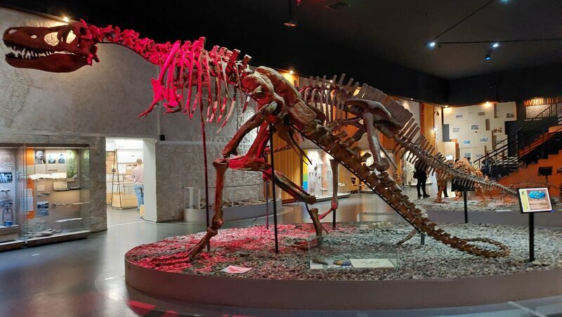 Хищный
тарбозавр предположительно жил на территории современного Пермского края около
70 миллионов лет назад.
