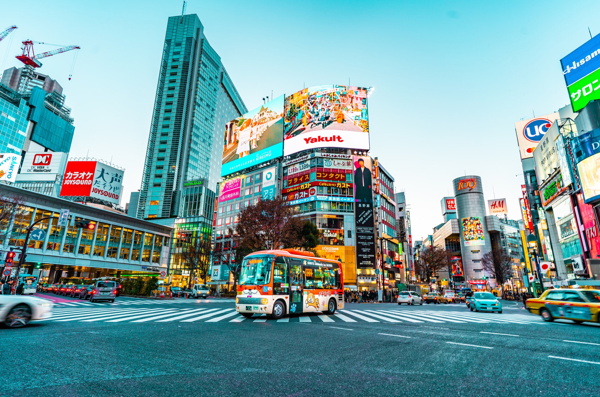 Бюрократический ад и японский менталитет: какая она — жизнь в Токио? Личный опыт