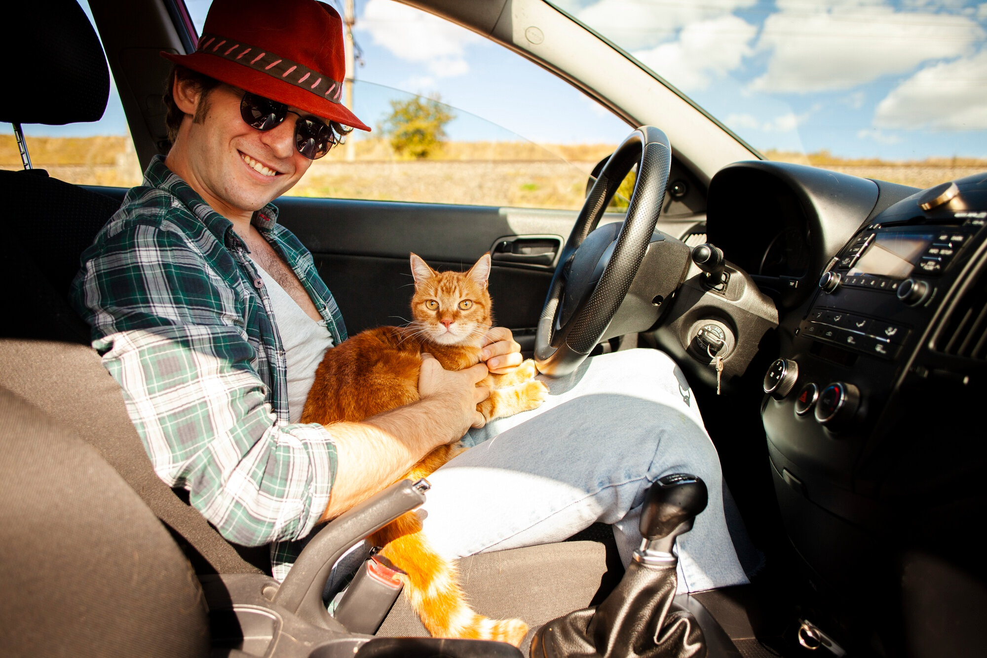 Как перевозить кошку в машине. Правила и советы