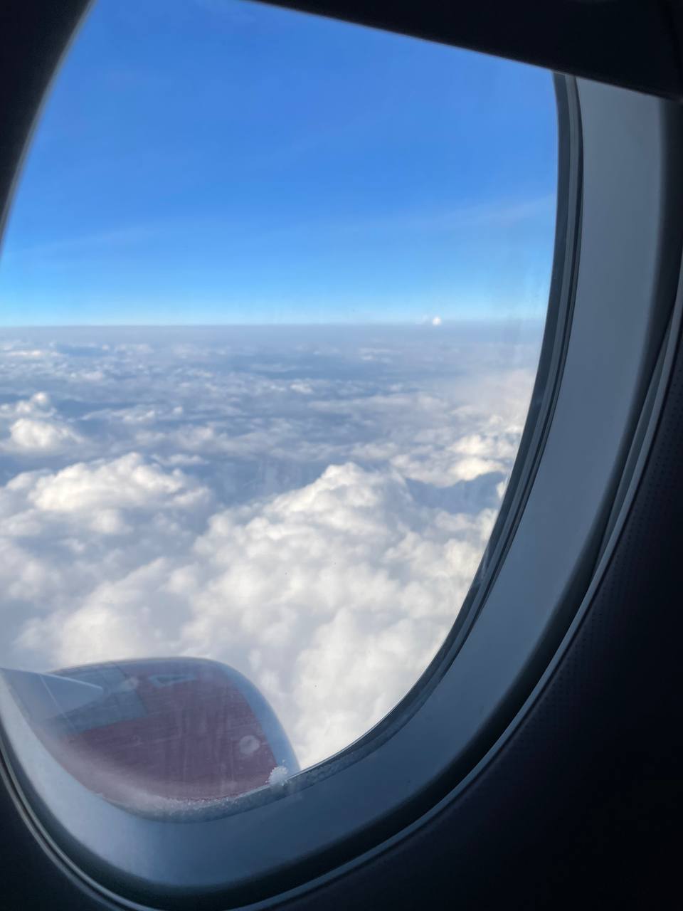 Carpe Diem, или 5 идей досуга, которые помогли мне спастись от скуки и насладиться Питером