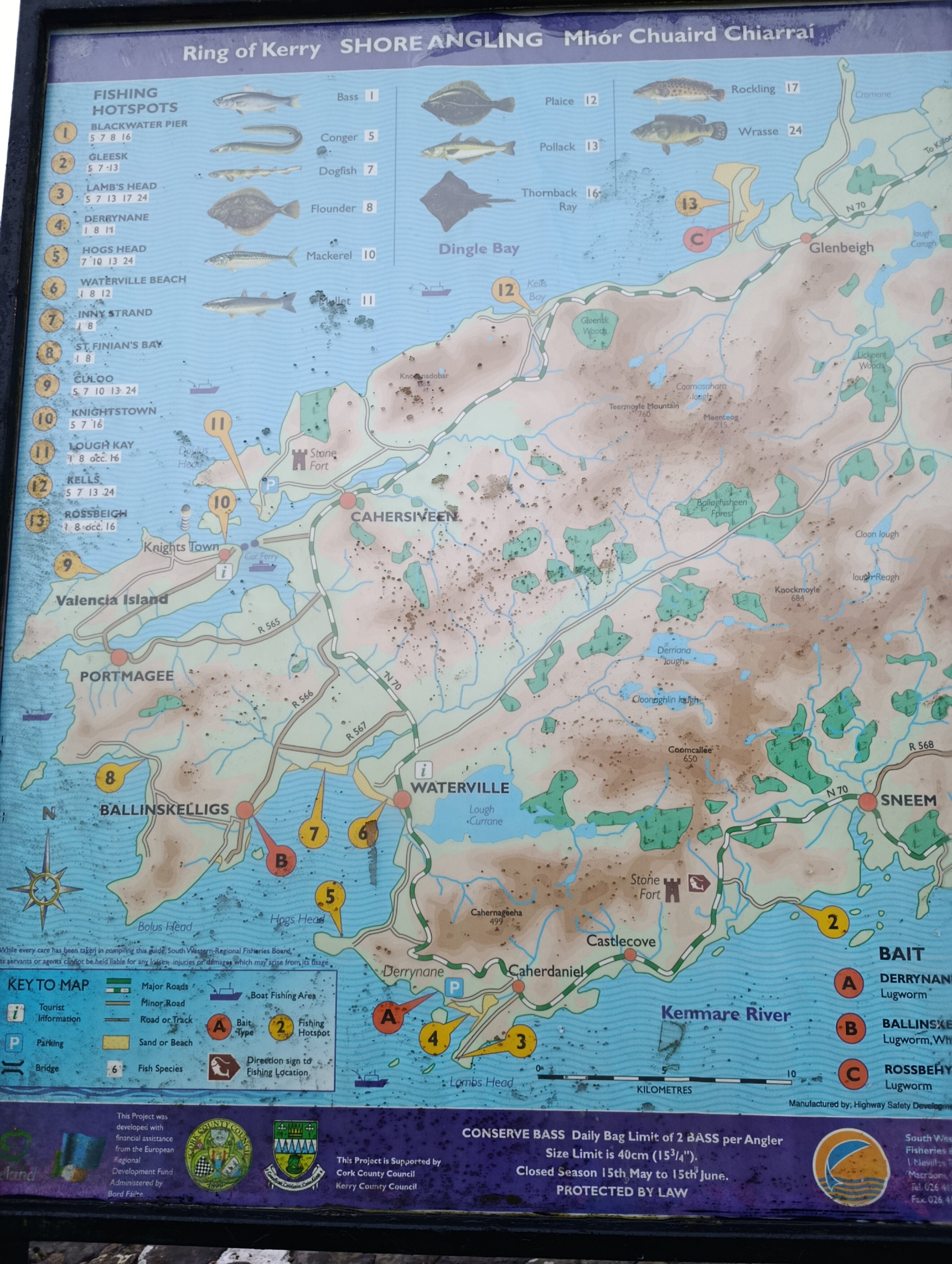 Больше чем Гиннесс: мой опыт открытий на юге Ирландии в феврале 2026 года
