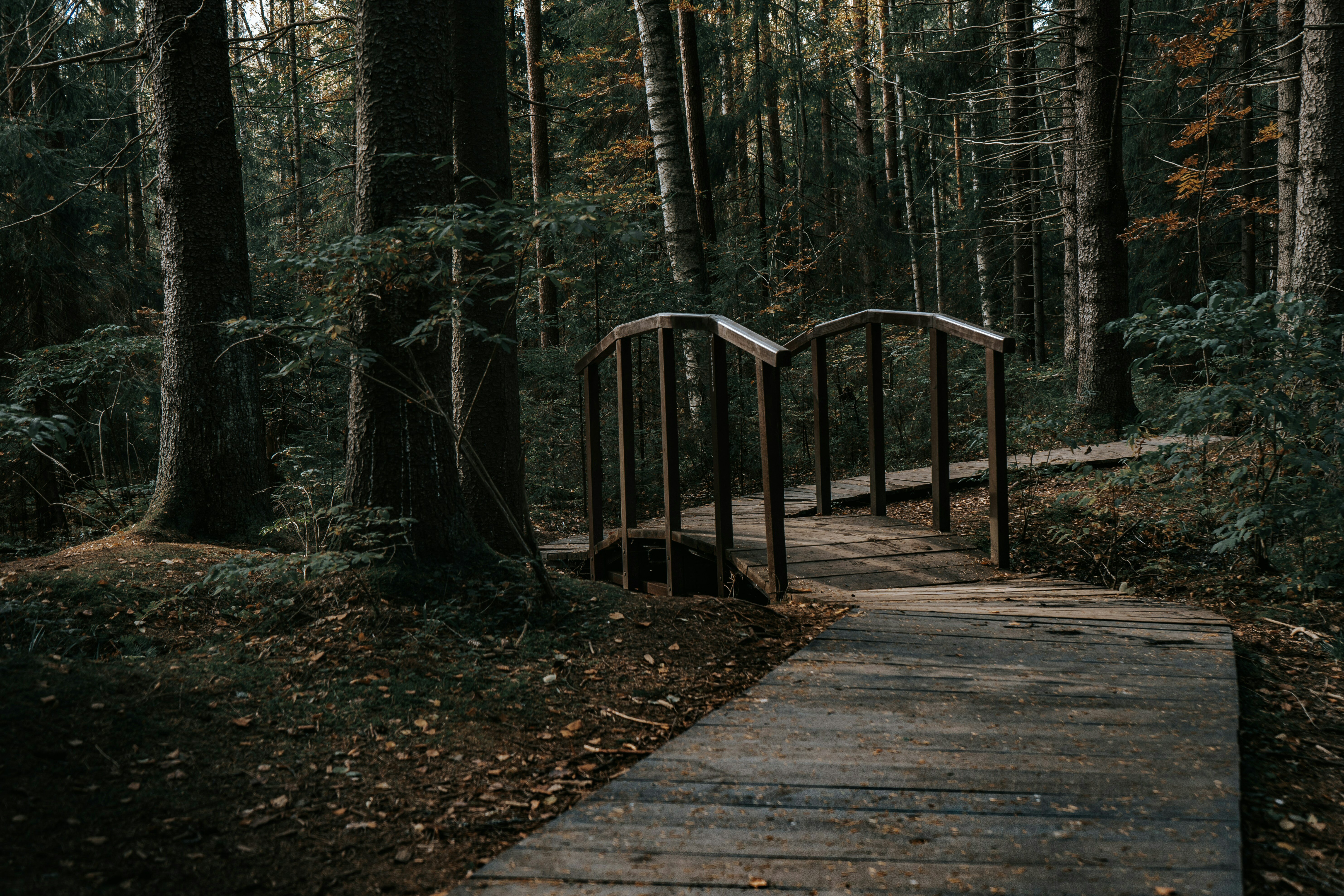 Туристический комплекс с музеем и экотропой построят в Карелии