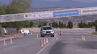 Посмотрите, с какой попытки Subaru Forester прошёл «лосиный тест»