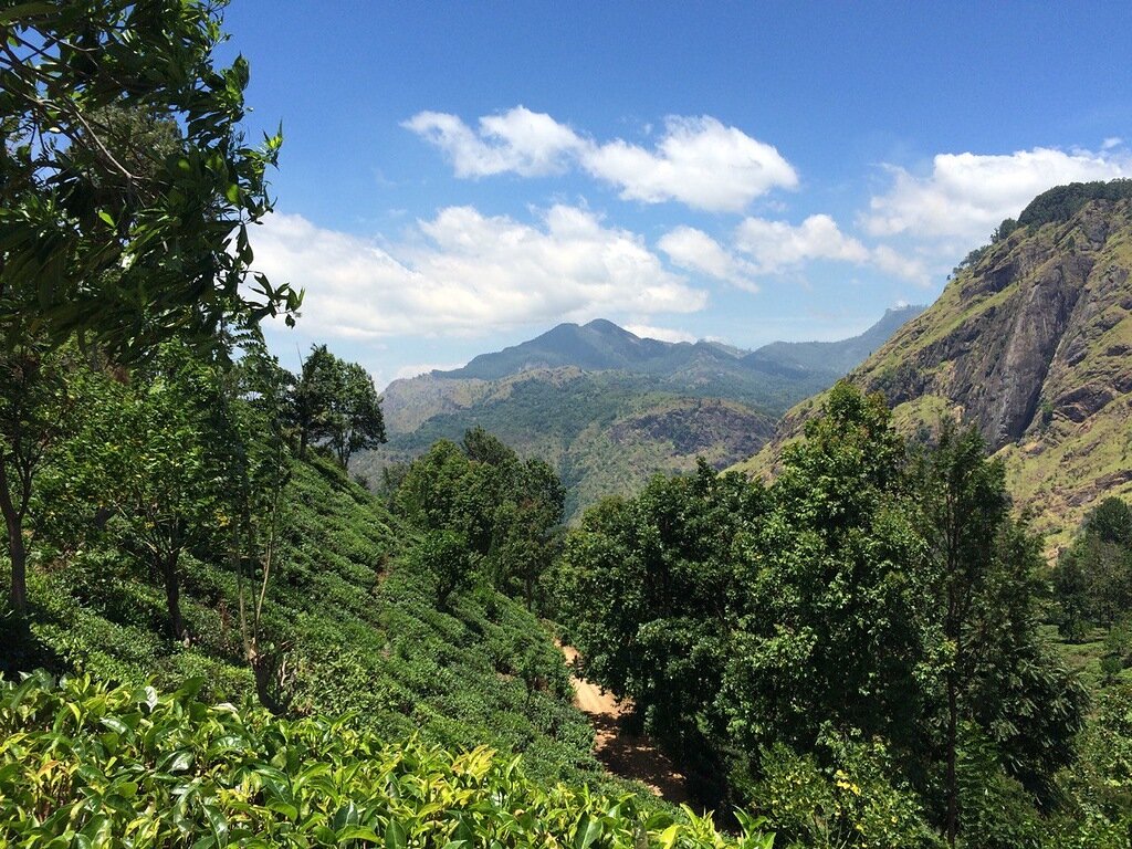 Территория
вокруг Пика Адама — холмистая местность с густой растительностью и водопадами.