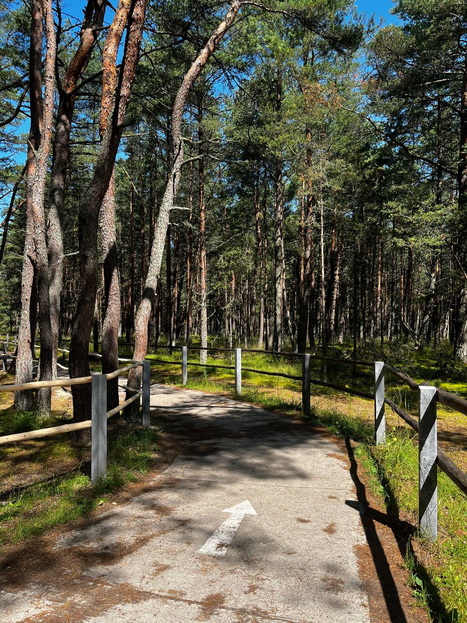 Путешествие в Калининградскую область: 13 веских причин отправиться именно сюда