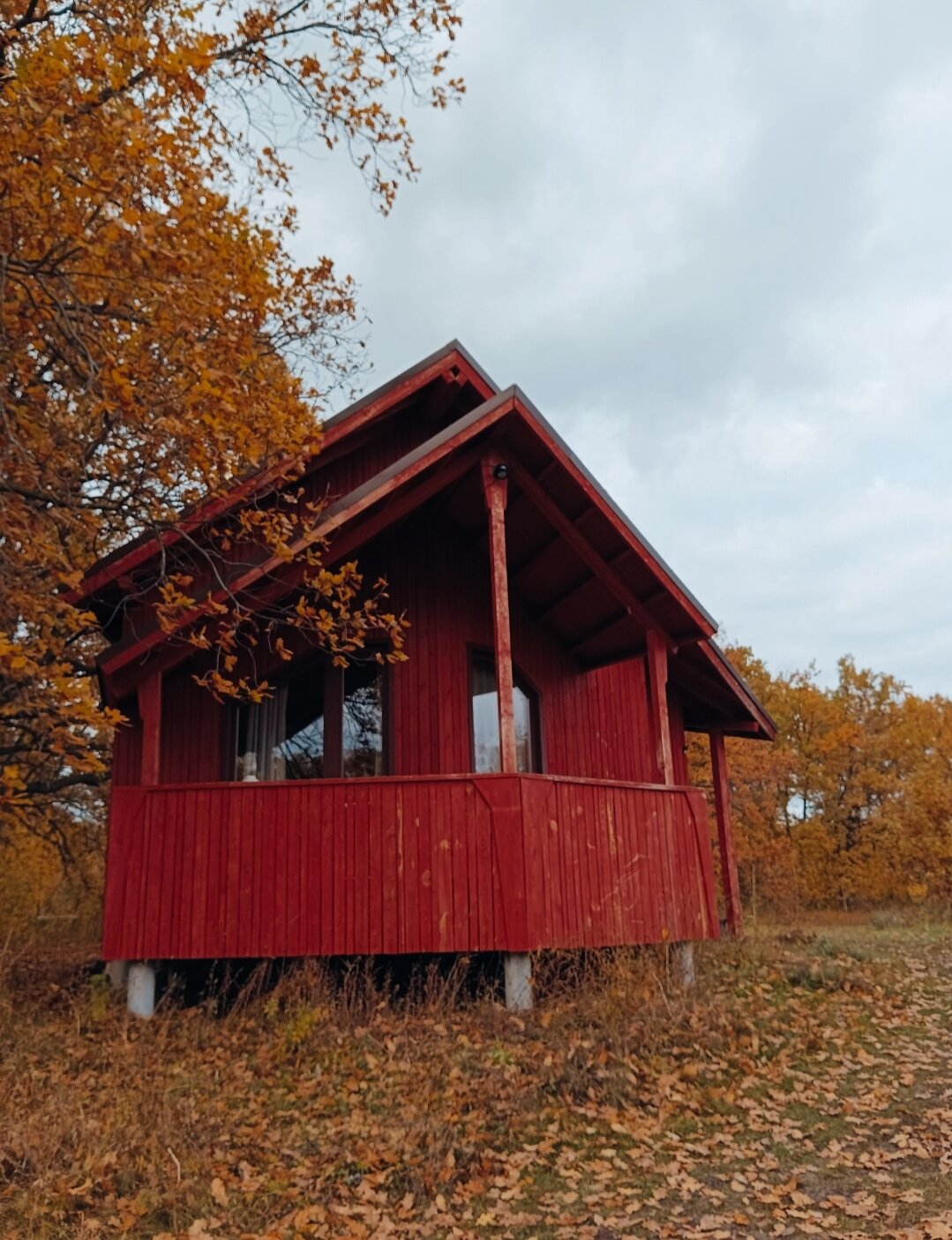 Жигулёвские горы, Волга и озеро Лопухово: наша осенняя поездка в глэмпинг в Самарской области