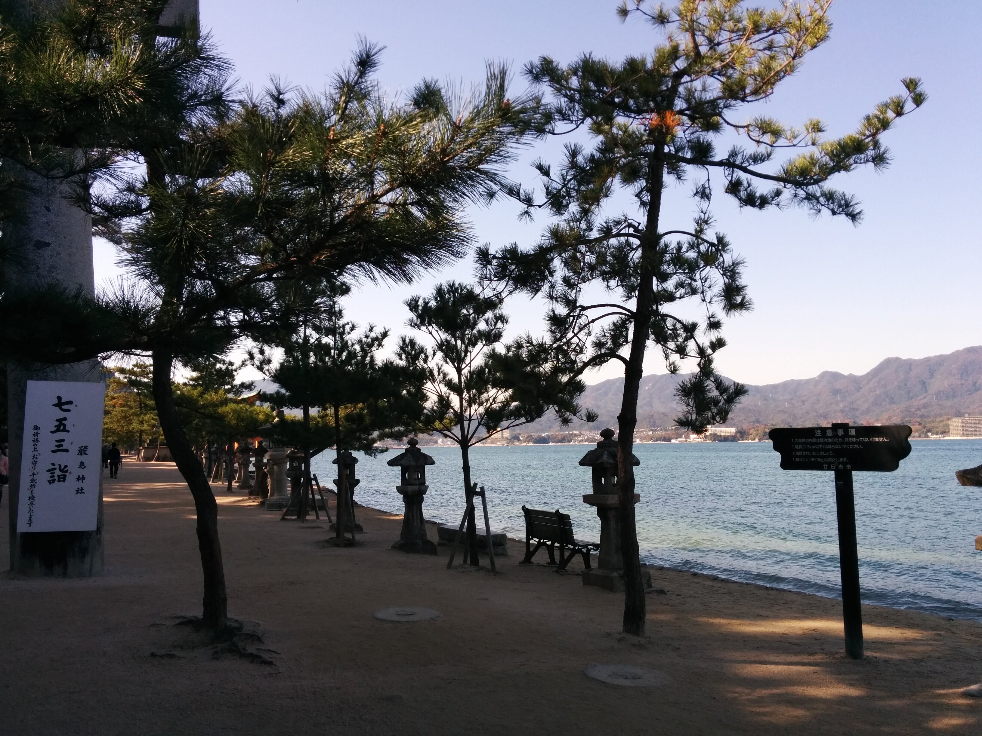 Поездка на Миядзиму: божественный остров с оленями